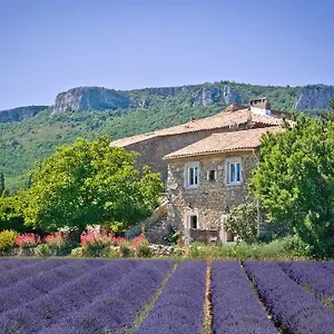 Chez Bacchus Gras